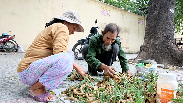 "Tình yêu vỉa hè" của đôi vợ chồng 30 năm bán me mưu sinh ở Sài Gòn 6