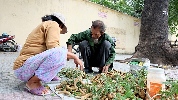 "Tình yêu vỉa hè" của đôi vợ chồng 30 năm bán me mưu sinh ở Sài Gòn 2