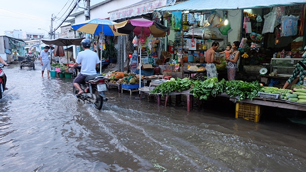 Người Sài Gòn "lội sông" đi chợ vì triều cường 11