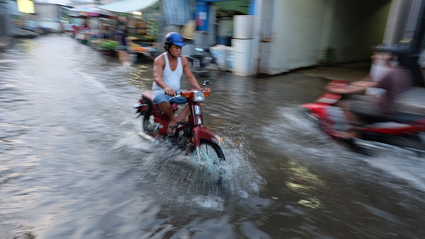 Người Sài Gòn "lội sông" đi chợ vì triều cường 15