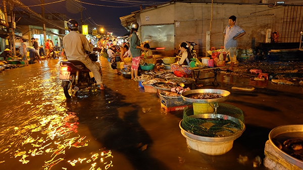 Người Sài Gòn "lội sông" đi chợ vì triều cường 3