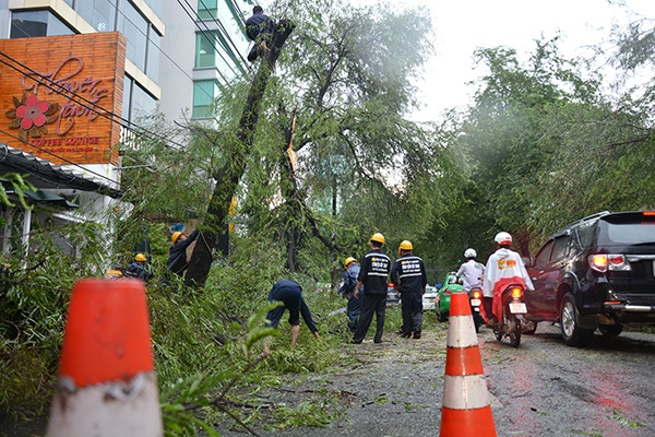 Mưa lớn, gió giật mạnh, cây đổ gây ùn tắc cục bộ tại TP HCM 8