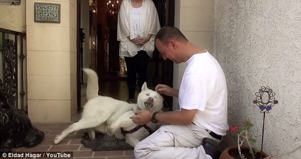 Hình ảnh mới của chú chó đói khát từng làm lay động hàng triệu trái tim 5