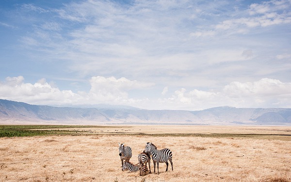 National Geographic công bố những bức ảnh đẹp nhất 2014 9