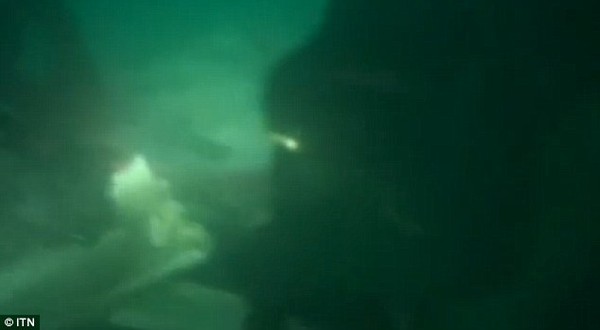 Video cận cảnh thợ lặn Indonesia tiếp cận phần đuôi QZ8501 2