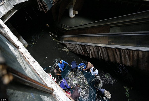 Cảnh tượng khó tin: Đánh bắt cá ở trung tâm mua sắm ở Bangkok 6