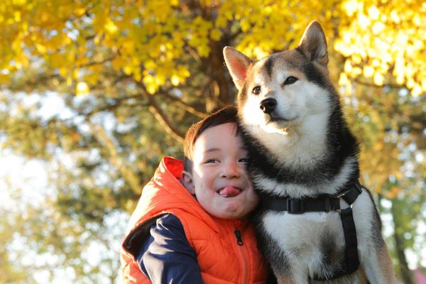 Tan chảy với hình ảnh đáng yêu của cậu bé gốc Nhật Bản bên cún cưng 24