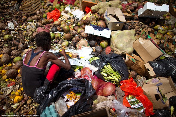 Chùm ảnh: Cuộc sống của những con người phải nhặt đồ ăn trên bãi rác 1