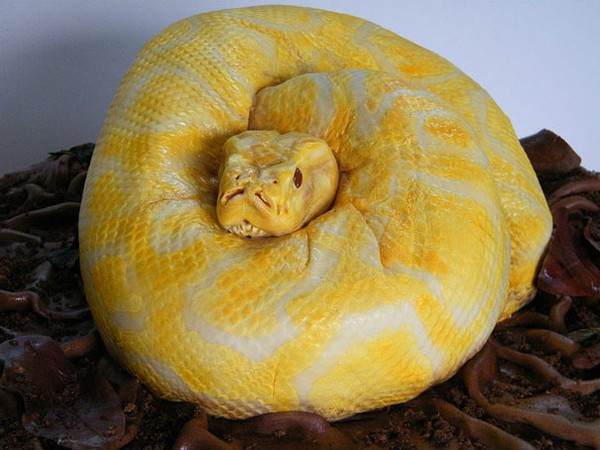 20 m&oacute;n ăn độc đ&aacute;o d&agrave;nh ri&ecirc;ng cho lễ hội Halloween 4