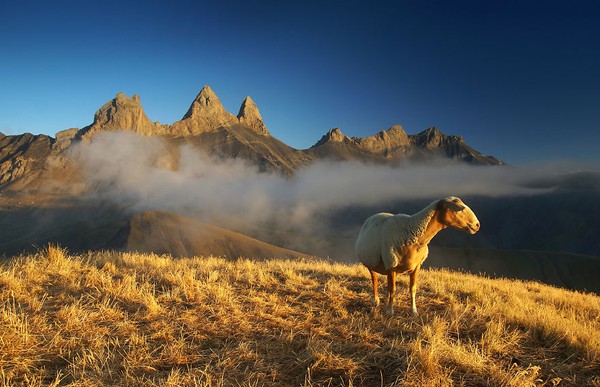 Chùm ảnh đẹp đến ngoạn mục về cuộc phiêu lưu của chàng trai người Ba Lan trên dãy núi Alps 9