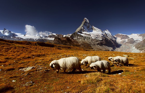 Chùm ảnh đẹp đến ngoạn mục về cuộc phiêu lưu của chàng trai người Ba Lan trên dãy núi Alps 4