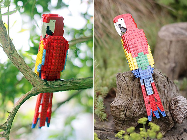 Chi&ecirc;m ngưỡng những ch&uacute; chim theo phong c&aacute;ch LEGO s&aacute;ng tạo v&agrave; đẹp mắt 4