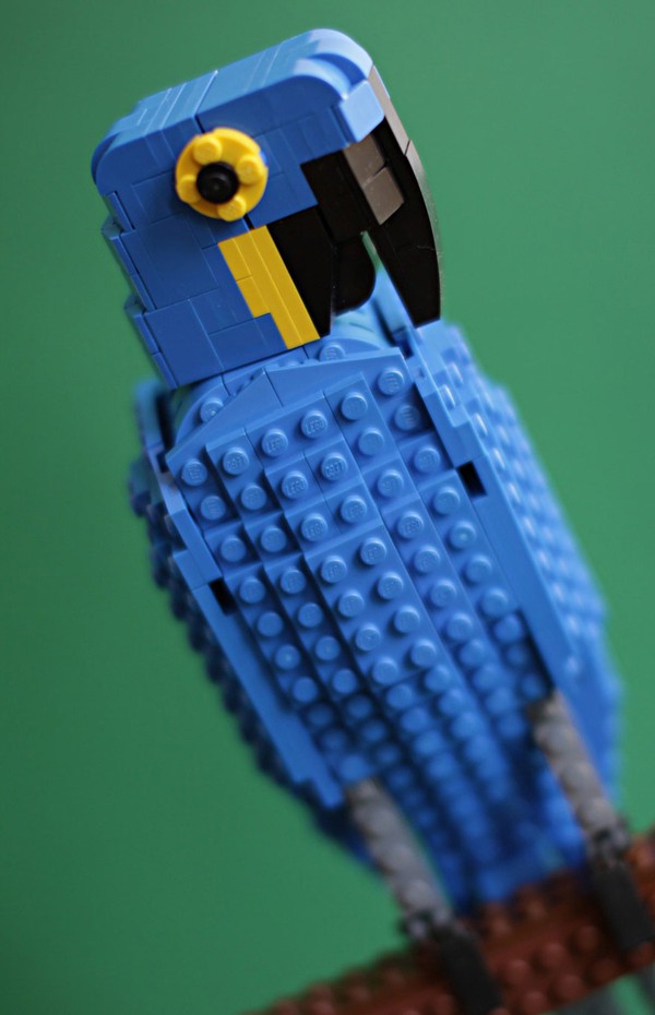 Chi&ecirc;m ngưỡng những ch&uacute; chim theo phong c&aacute;ch LEGO s&aacute;ng tạo v&agrave; đẹp mắt 10