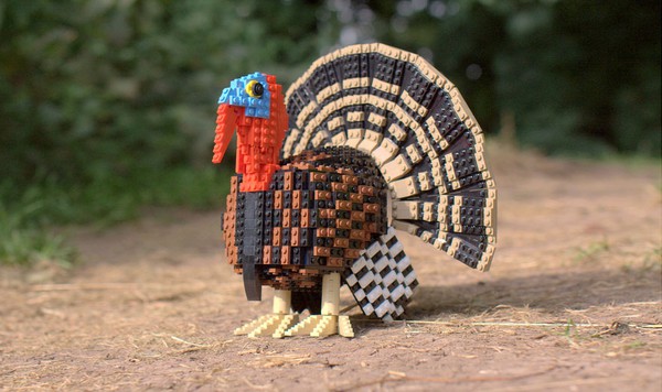 Chi&ecirc;m ngưỡng những ch&uacute; chim theo phong c&aacute;ch LEGO s&aacute;ng tạo v&agrave; đẹp mắt 19