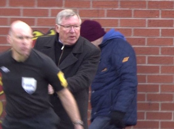 Sir Alex lại "va chạm" với trọng tài 3
