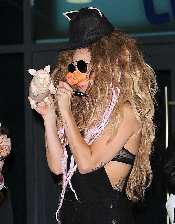 Lady Gaga đeo mũi lợn hôn môi fan nam đắm đuối 6