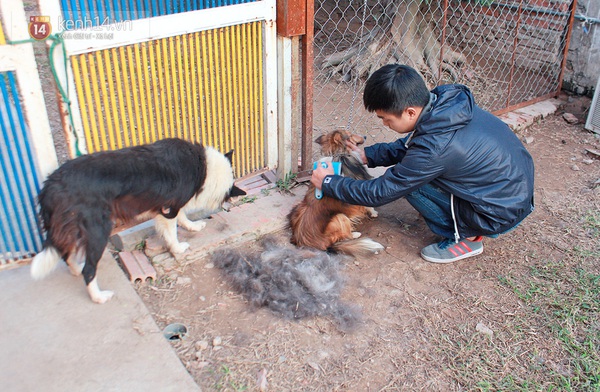 Chăm sóc thú cưng - Dịch vụ hot và "kiếm bộn" trong Tết này 4