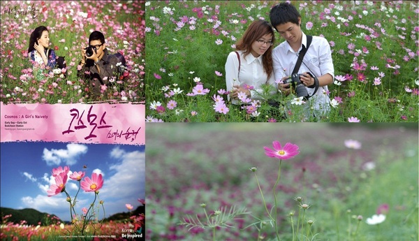 "Câu chuyện tình yêu" như phim Hàn lan tràn mạng xã hội 5