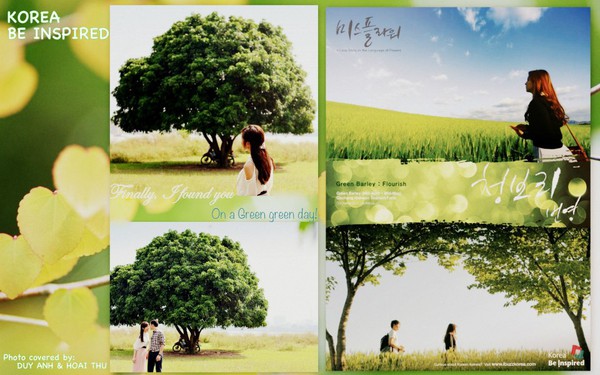 "Câu chuyện tình yêu" như phim Hàn lan tràn mạng xã hội 9