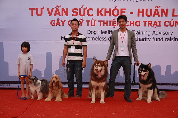Hà Nội tưng bừng hội chợ cún yêu lần đầu tiên 7