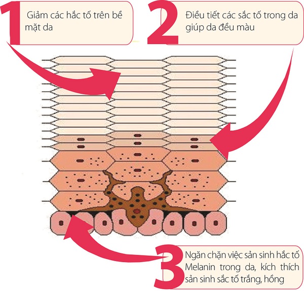 Bí quyết dưỡng trắng da an toàn 1