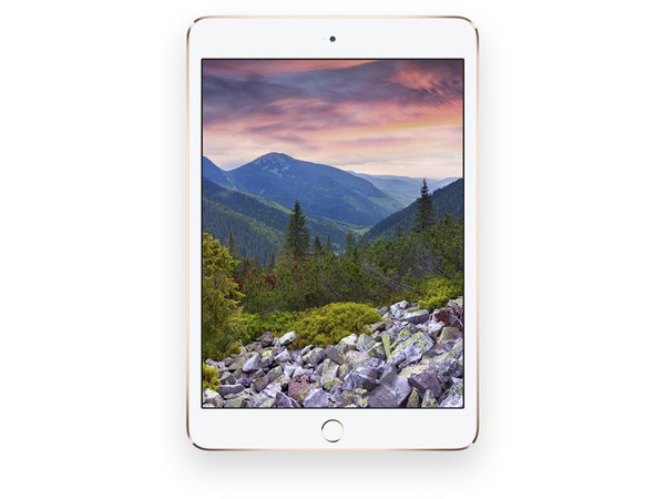 Apple có thể sẽ khai tử iPad Mini, thế chỗ bằng iPad Pro 1