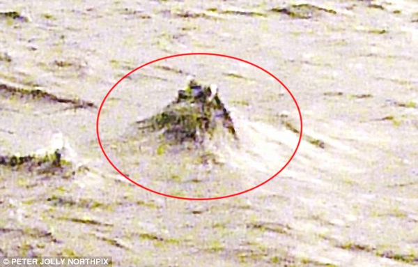 Bức ảnh đầu quái vật hồ Loch Ness lấp ló trên mặt nước 2