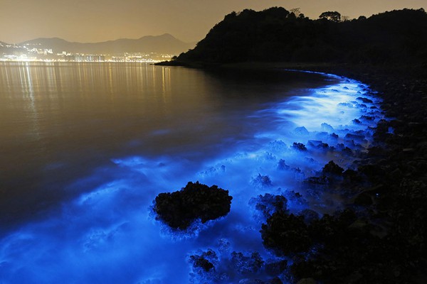 Bờ biển Hồng Kông đẹp kỳ ảo với những đợt sóng phát quang 1