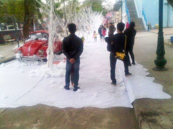 Cư dân mạng thất vọng về "Con đường tuyết" ở Hà Nội  4
