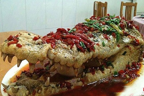 Chơi trội, cặp đôi người Trung Quốc phục vụ "thủ cấp" cá sấu trong tiệc cưới 2