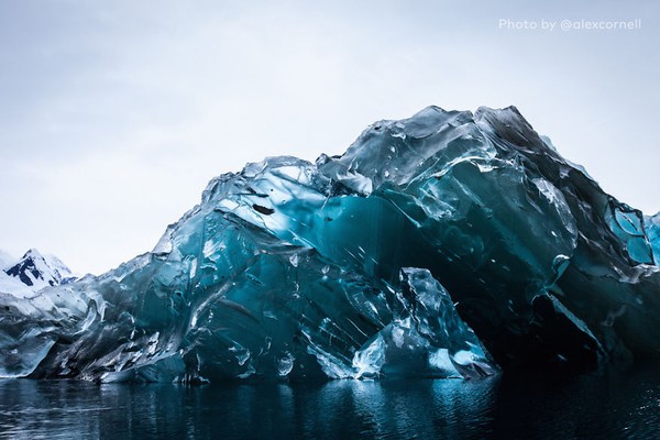 Ngỡ ngàng với vẻ đẹp "trăm năm mới thấy một lần" của tảng băng lật ngược ở Nam Cực 2