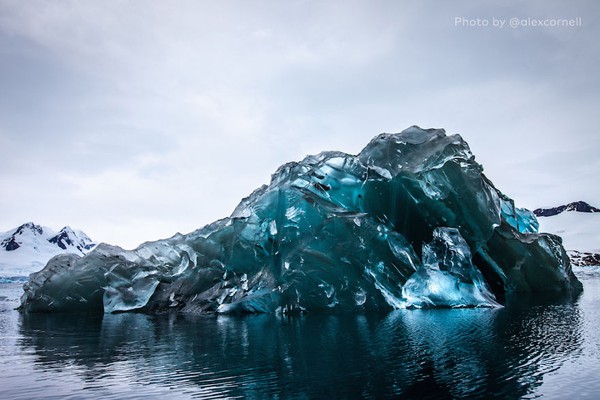 Ngỡ ngàng với vẻ đẹp "trăm năm mới thấy một lần" của tảng băng lật ngược ở Nam Cực 3
