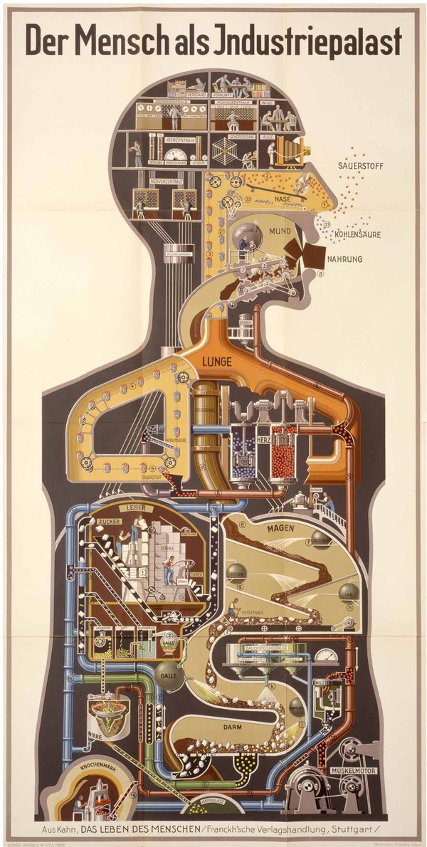 Fritz Kahn – “Bố già” của infographic 2