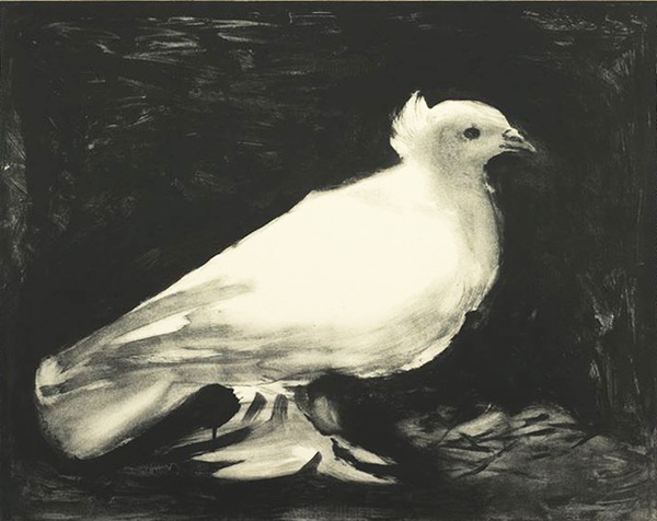 Picasso - Người gây dựng nên biểu tượng hòa bình qua hình ảnh chim bồ câu 8