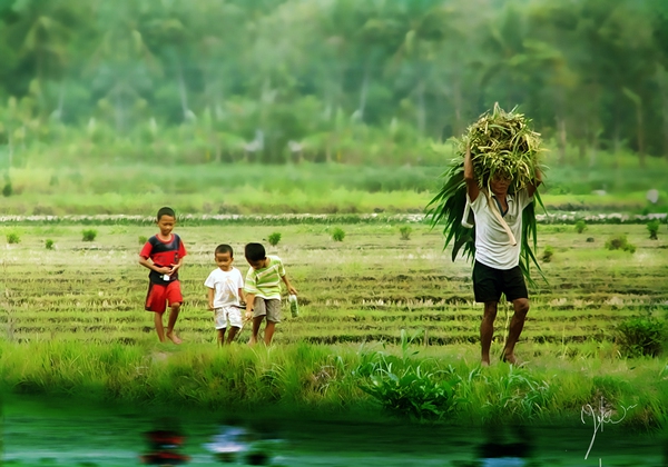 Về một bức ảnh "không đúng luật" nhưng đầy cảm xúc  7