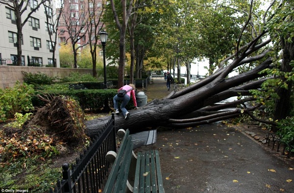 50 người chết trong “thảm họa bão” Sandy  37