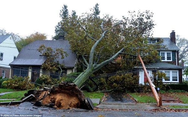 50 người chết trong “thảm họa bão” Sandy  39