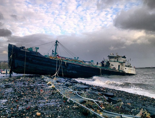 50 người chết trong “thảm họa bão” Sandy  5