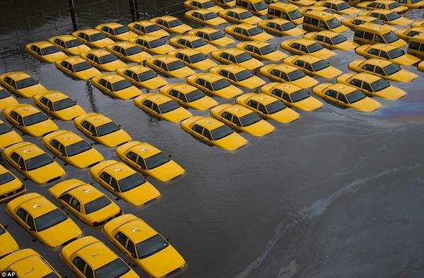 50 người chết trong “thảm họa bão” Sandy  6