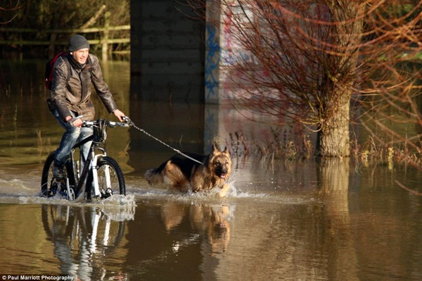 Nước Anh chìm trong lũ lụt 9