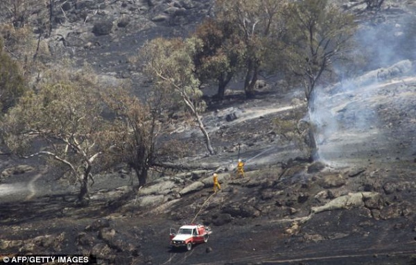 Cảnh báo cháy rừng khủng khiếp nhất trong lịch sử 8