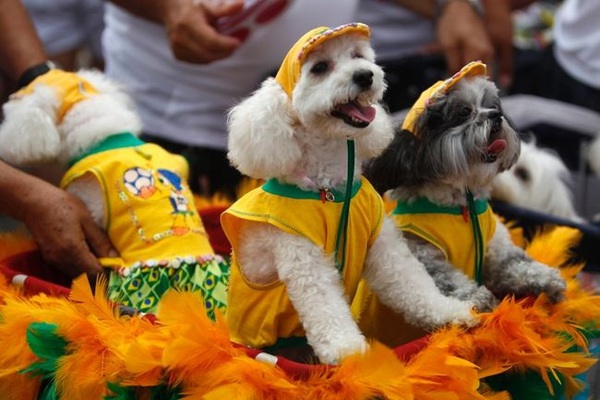 M&ugrave;a carnival tưng bừng khắp thế giới 2