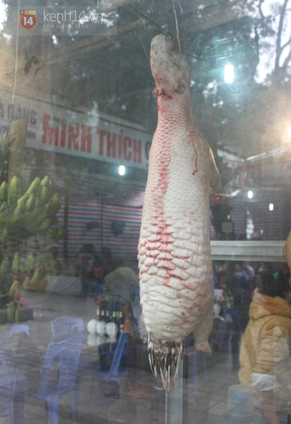 Ngang nhiên bán động vật hoang dã gần trụ sở công an Chùa Hương 5