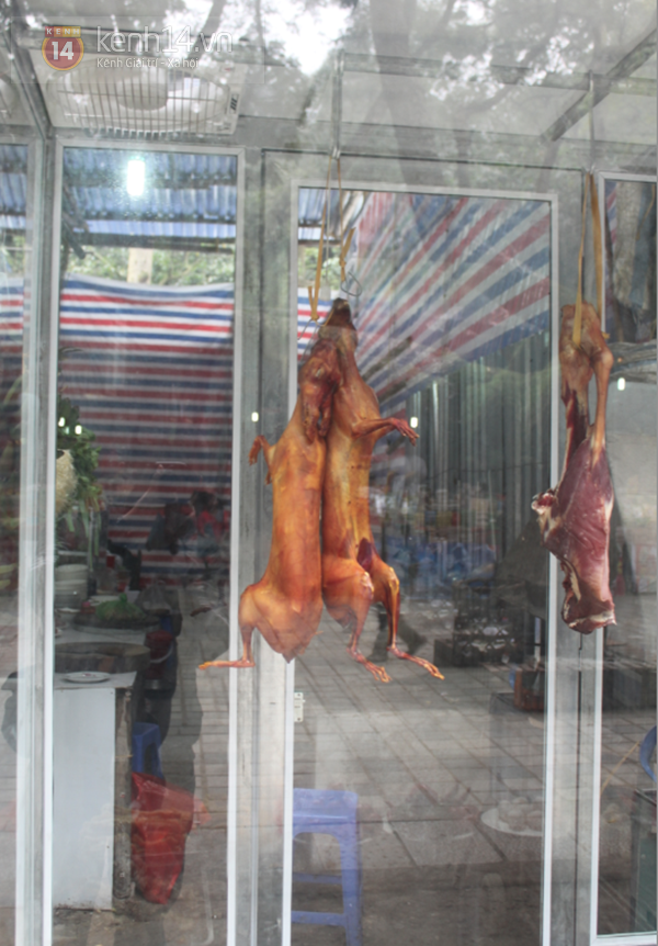 Ngang nhi&ecirc;n b&aacute;n động vật hoang d&atilde; gần trụ sở c&ocirc;ng an Ch&ugrave;a Hương 6
