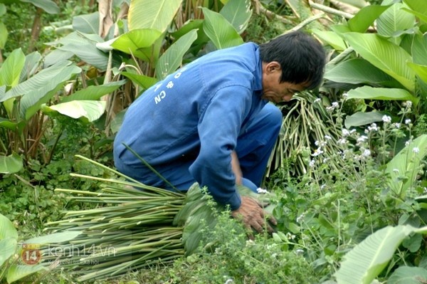 Về làng bánh chưng ven đô ngày cận Tết 19