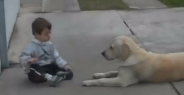 Xúc động clip chú chó an ủi, vỗ về một cậu bé thiểu năng  2