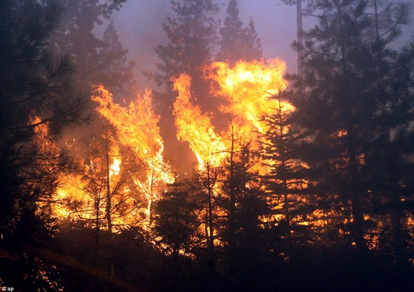 Những hình ảnh kinh hoàng trong vụ cháy rừng ở California 3
