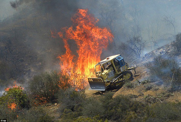 Những h&igrave;nh ảnh kinh ho&agrave;ng trong vụ ch&aacute;y rừng ở California 4