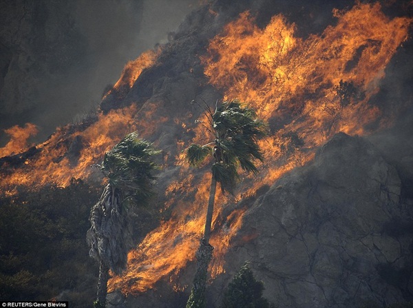 Những hình ảnh kinh hoàng trong vụ cháy rừng ở California 10