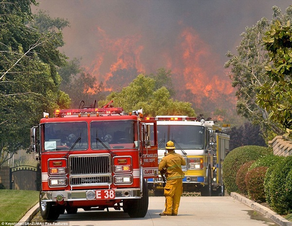 Những h&igrave;nh ảnh kinh ho&agrave;ng trong vụ ch&aacute;y rừng ở California 17